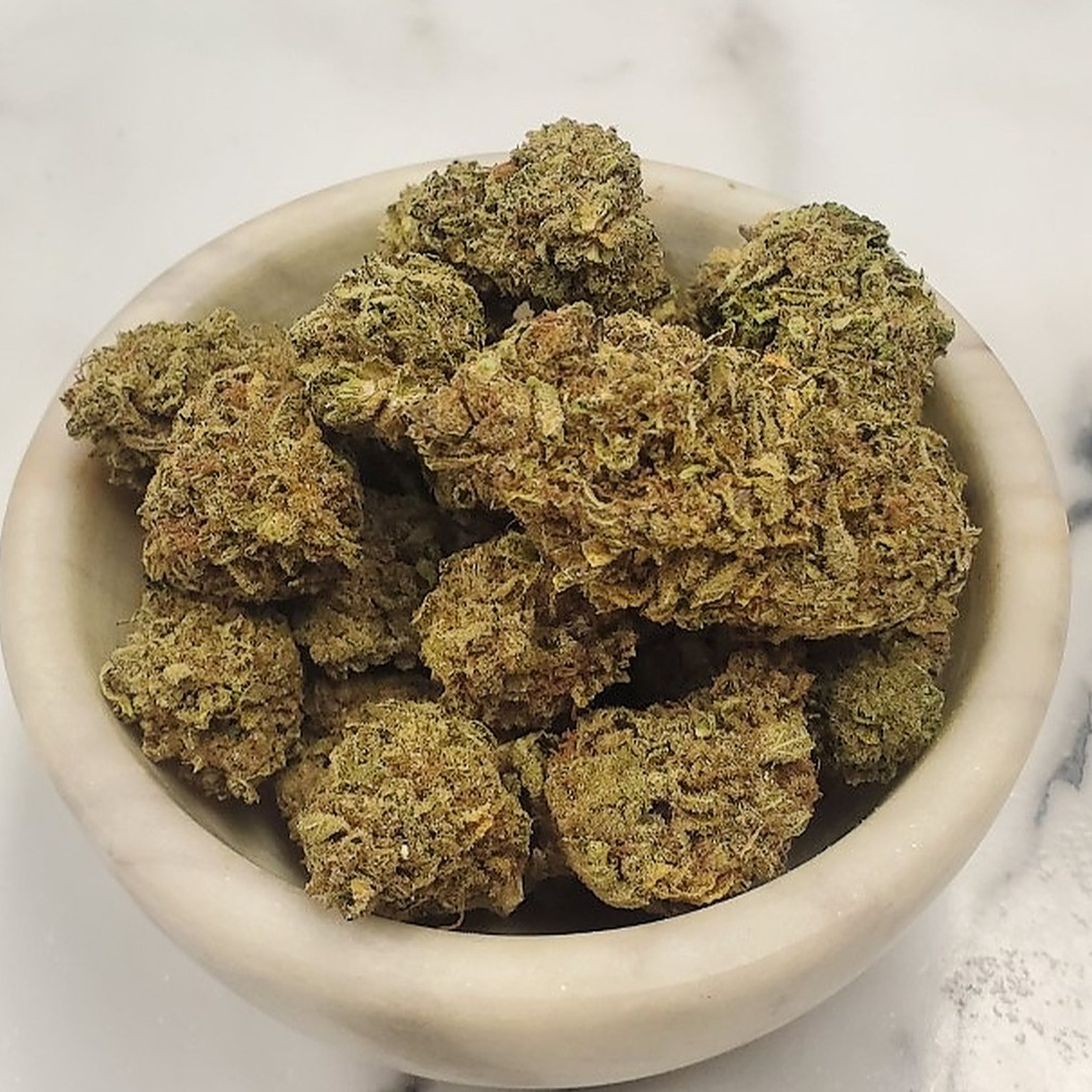 Chocolate Hashberry Greenhouse